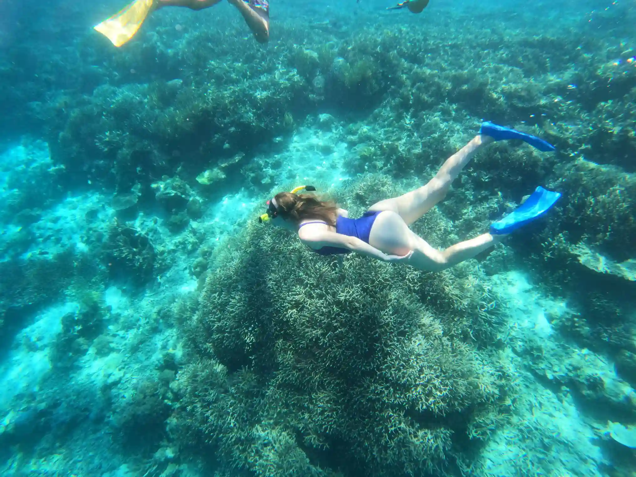 Diver finning over a large coral head
