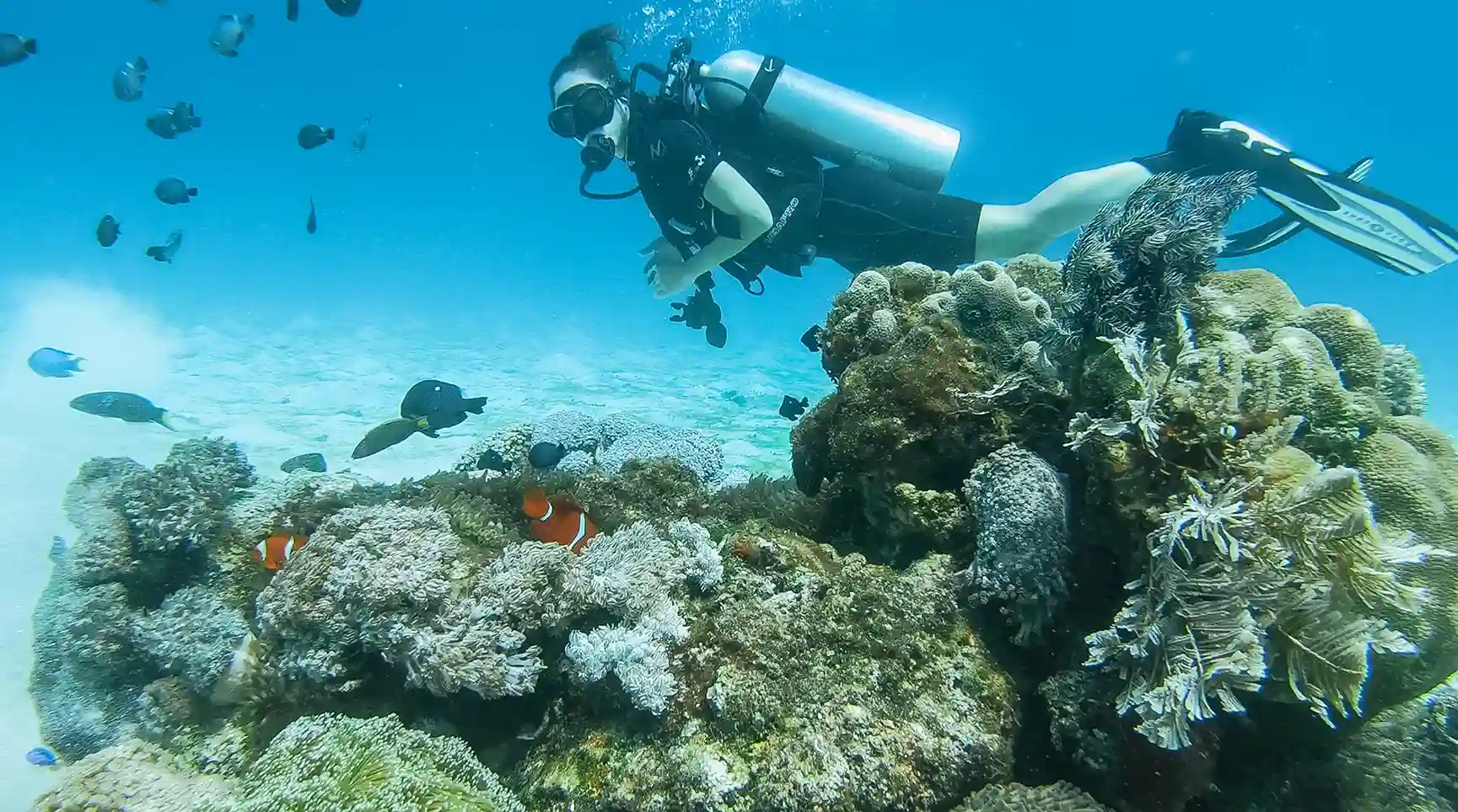 Diver over a coral bommie in bright shallow water