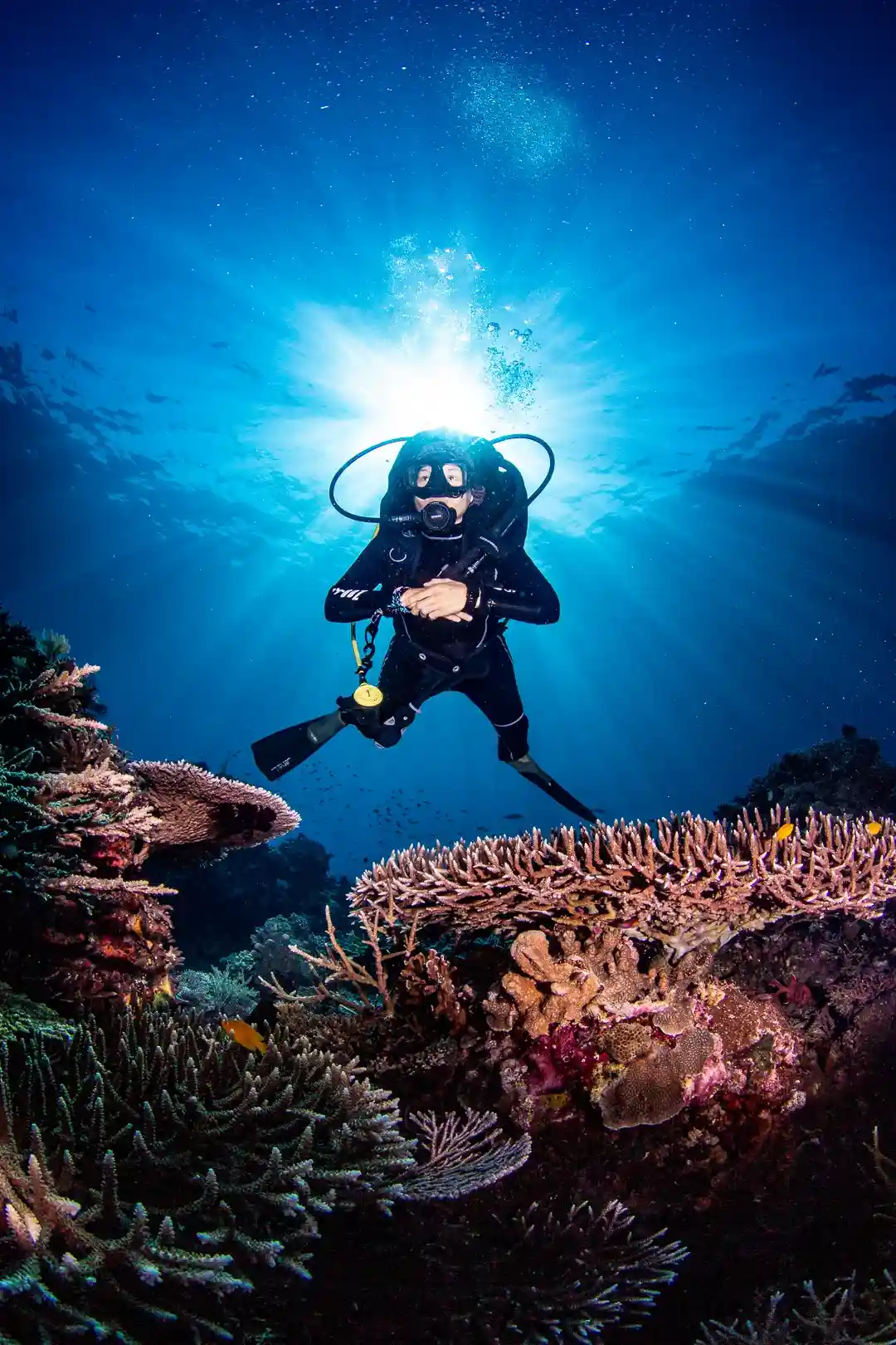 Diver silhouetted against a sunburst above the reef