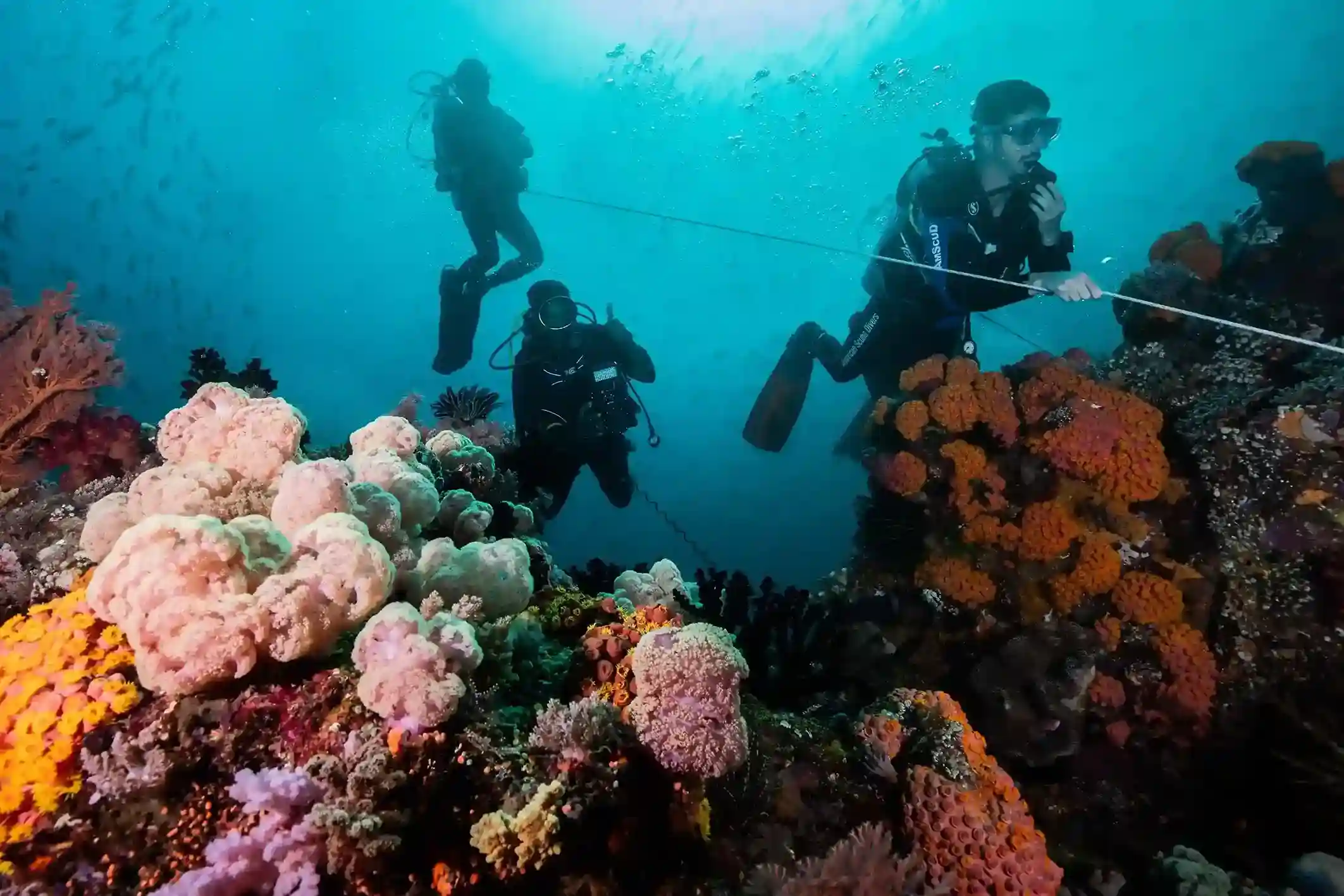 Divers descending a mooring line over a soft coral reef during a PADI course