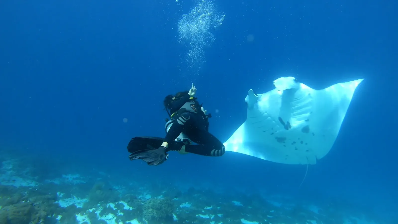How to Get to Lombok Dive Centers