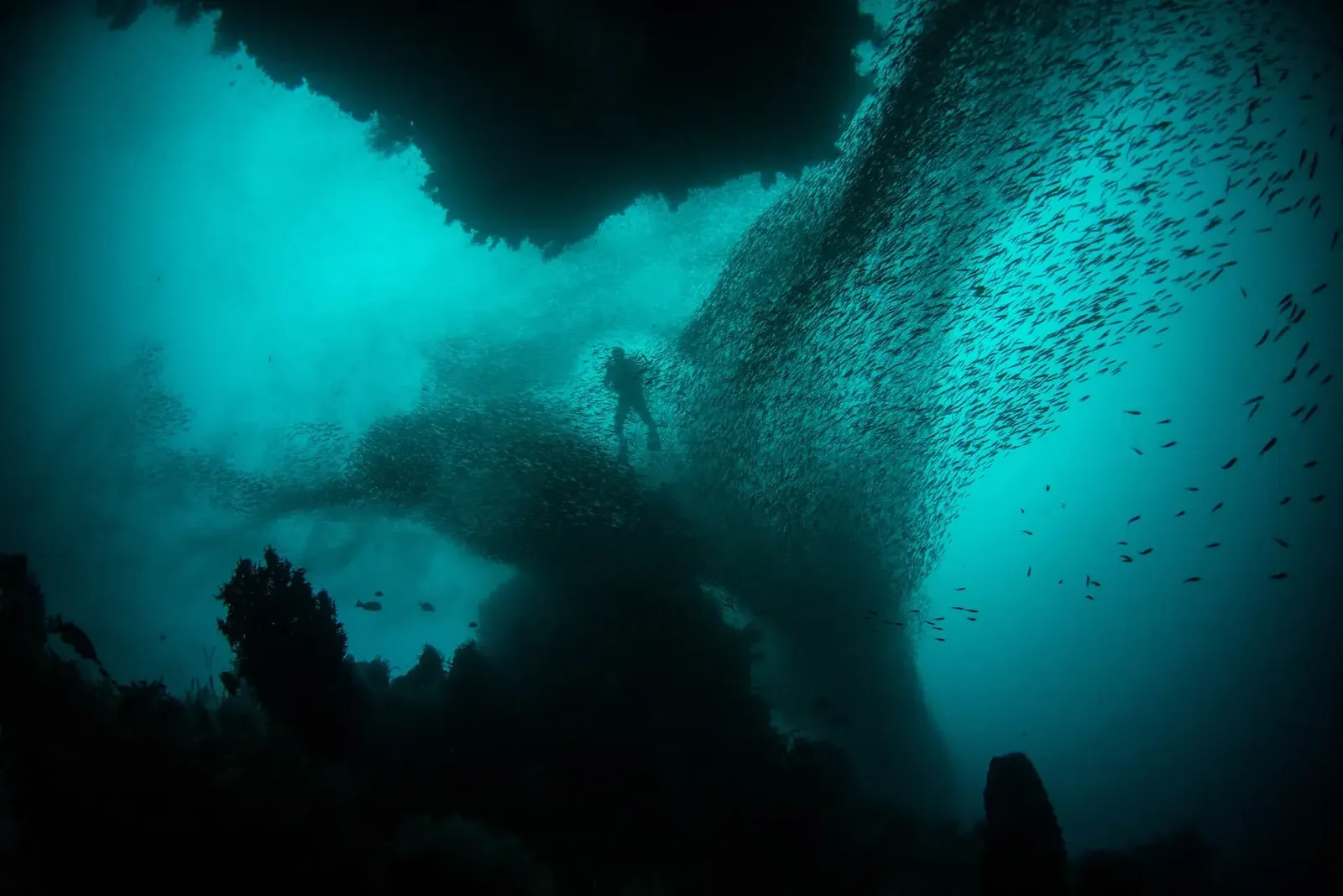 Diving Health Regulations Lombok 2027: Ensuring Safe Underwater Experiences