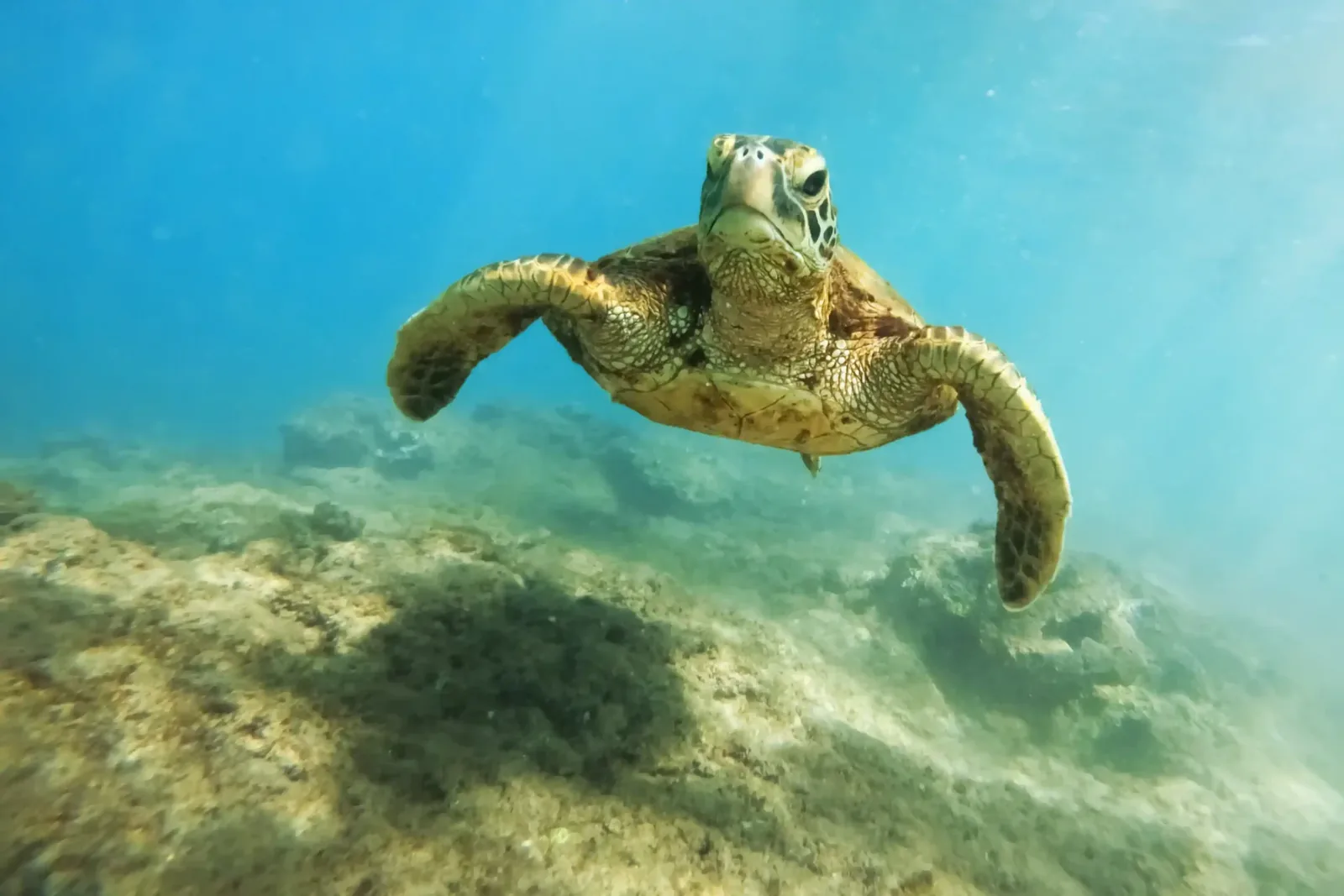 Exploring Lombok’s Underwater Ecosystems in 2027: A Diver’s Guide