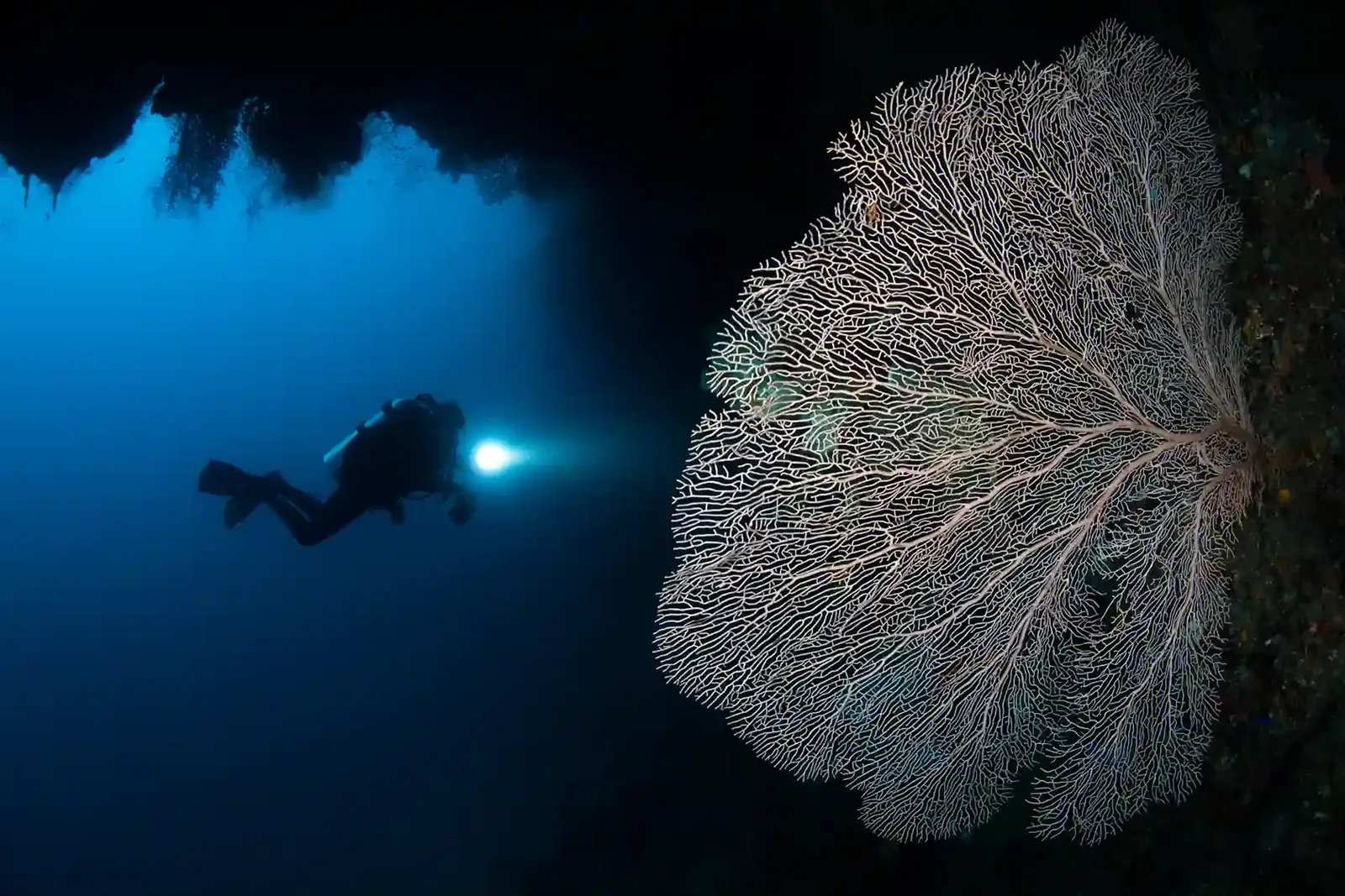 Exploring the Diving Experience in Lombok 2027 Through the Eyes of Modern Divers