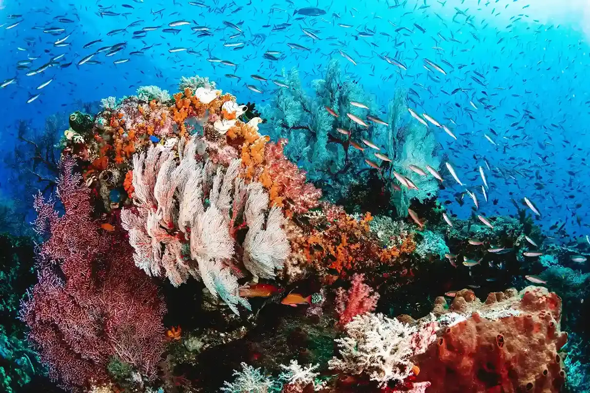 Planning a Diving Trip to Lombok in 2027