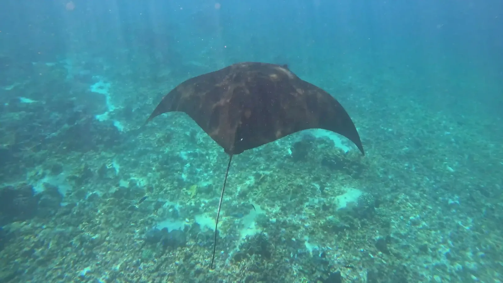 Top Reasons to Dive in Lombok in 2027